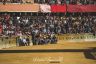 La gallery della quarta prova e della prova generale di Benedetta Aucone